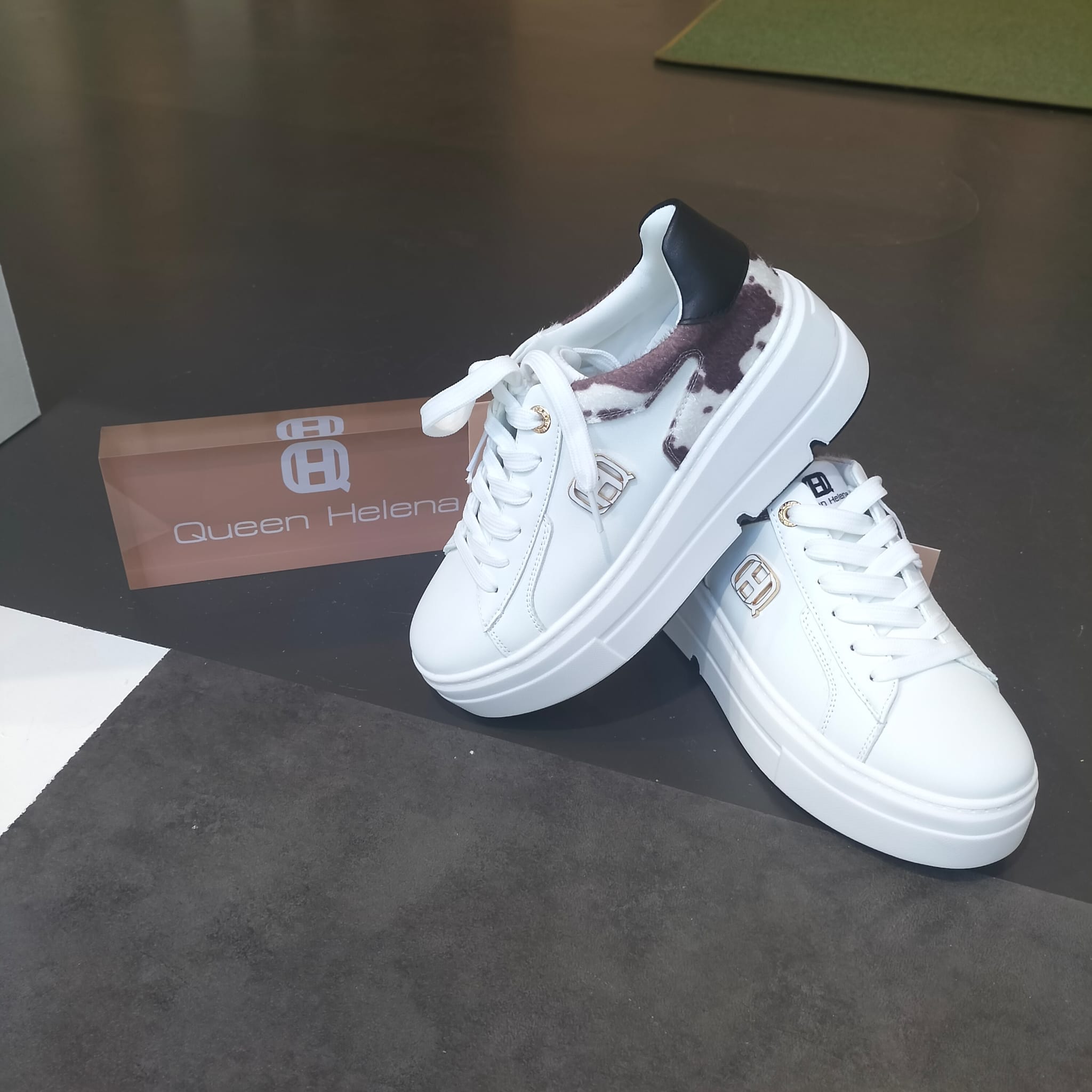 WhatsApp Image 2026-04-02 at 10.15.21