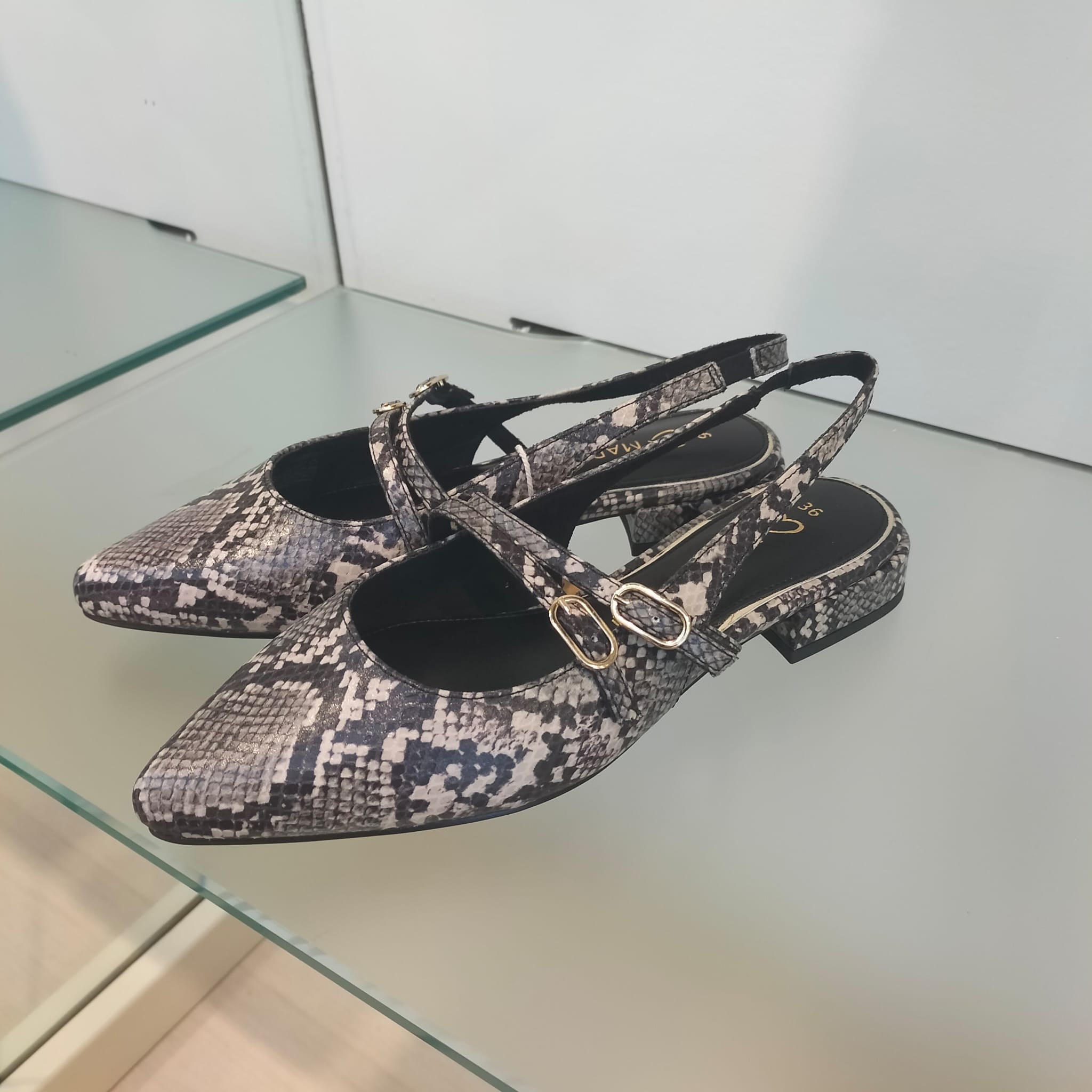 WhatsApp Image 2026-04-02 at 10.15.53 (1)