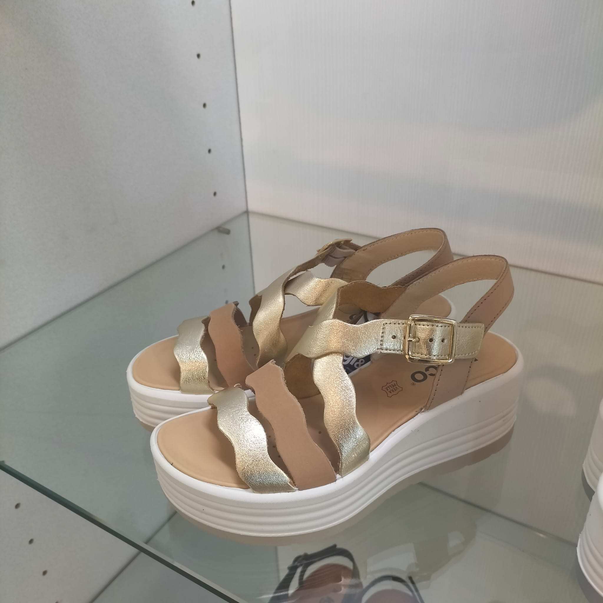 WhatsApp Image 2026-04-02 at 10.15.58 (2)