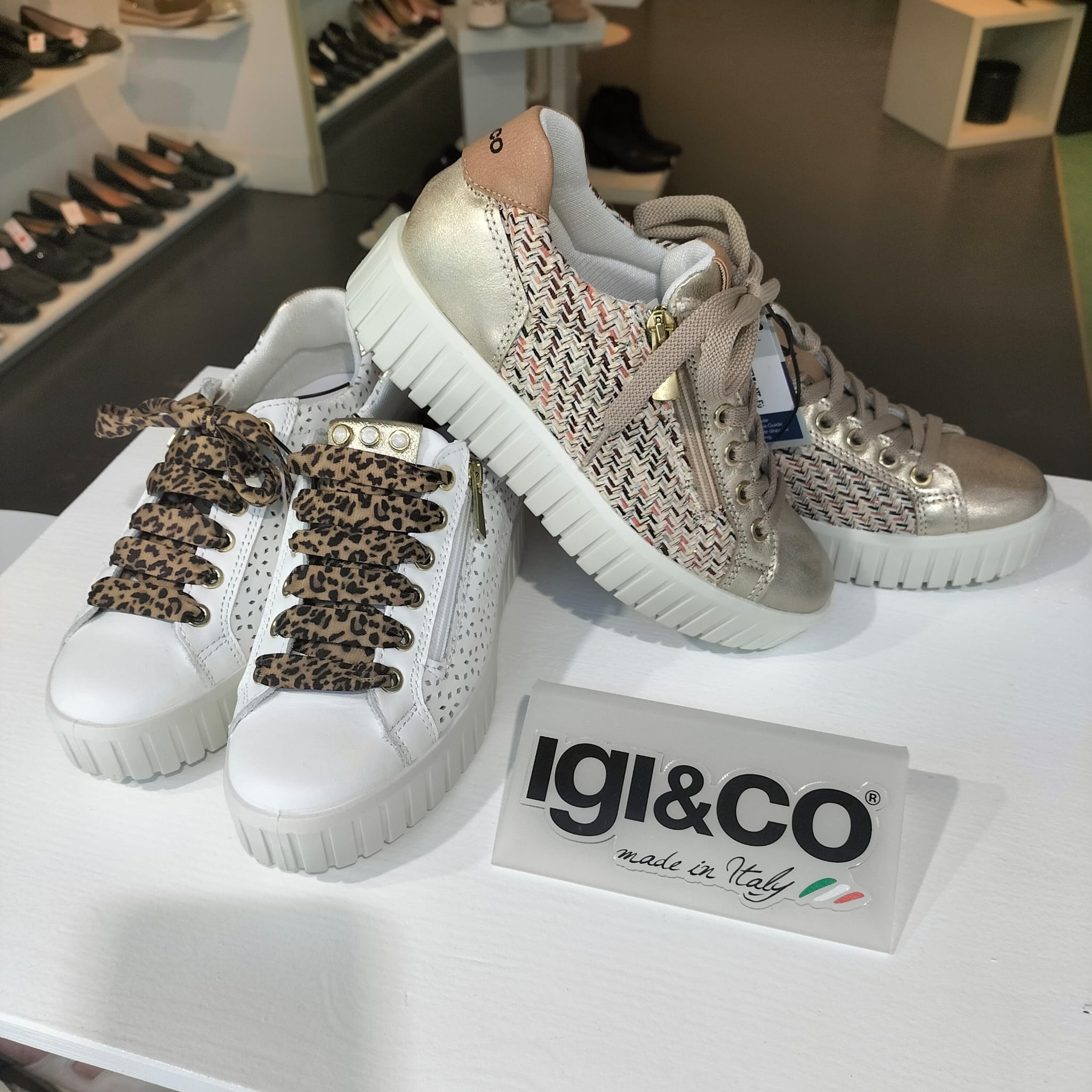 WhatsApp Image 2026-04-02 at 10.16.06